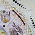 Load image into Gallery viewer, 2027 | Moon Calendar & Booklet