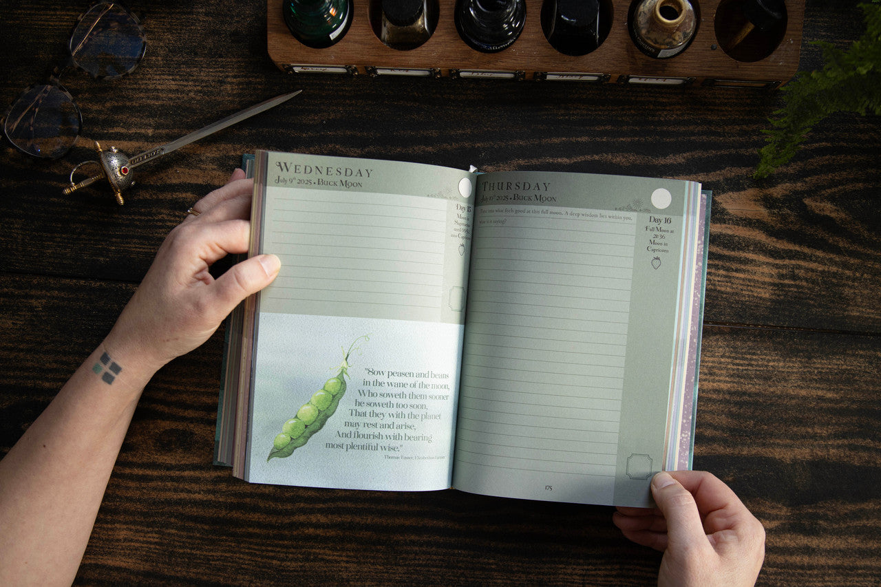 Full Moon in Capricorn 2025