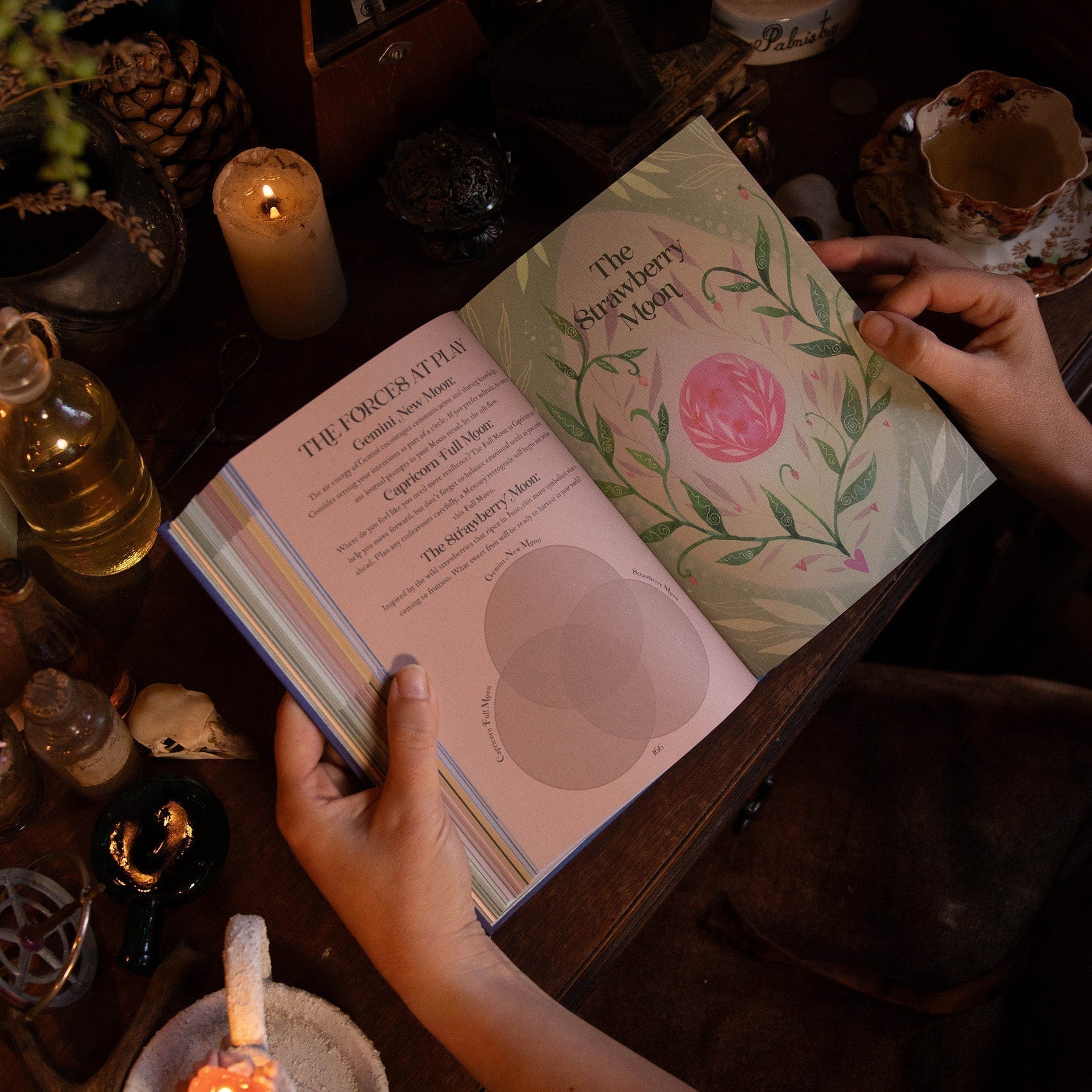 Clarity, Connection and New Beginnings: A Guide to the New Moon in Gemini