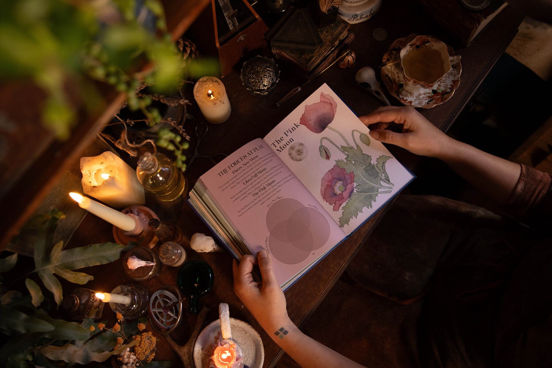 Full Moon in Libra 2026