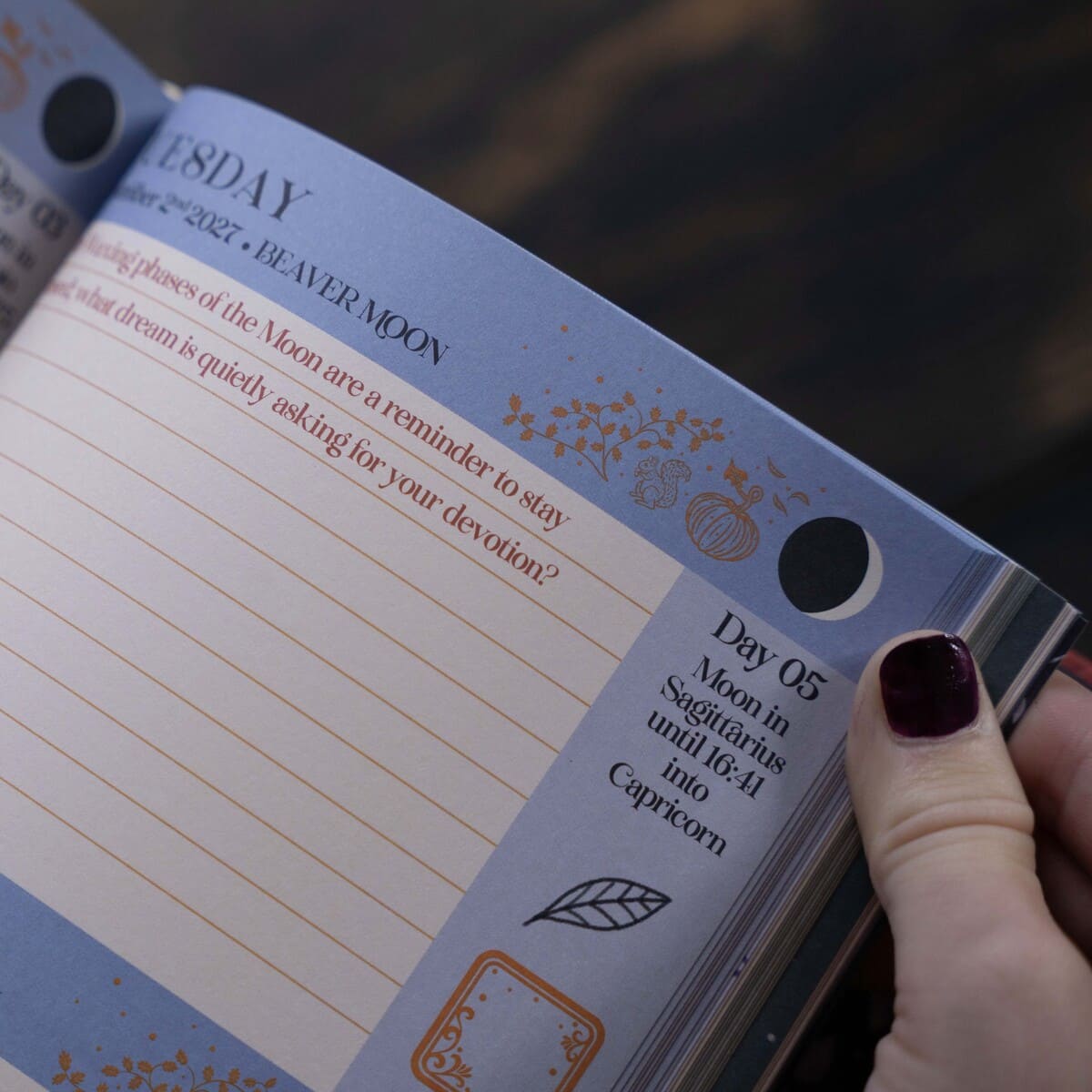 2027 | 13 Moon Journal