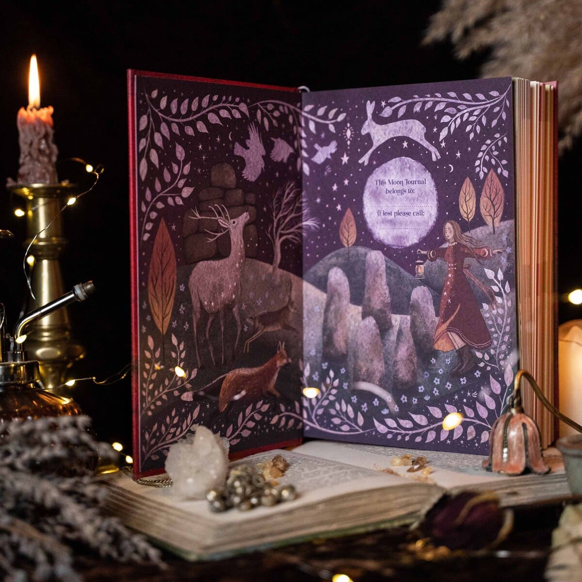2027 | Complete Moon Collection | 13 Moon Journal