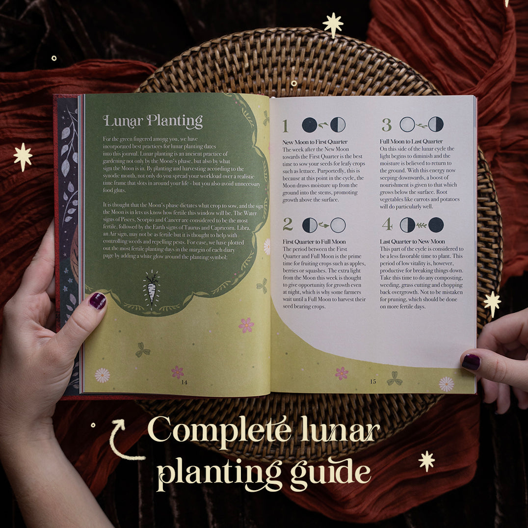 2027 | 13 Moon Journal