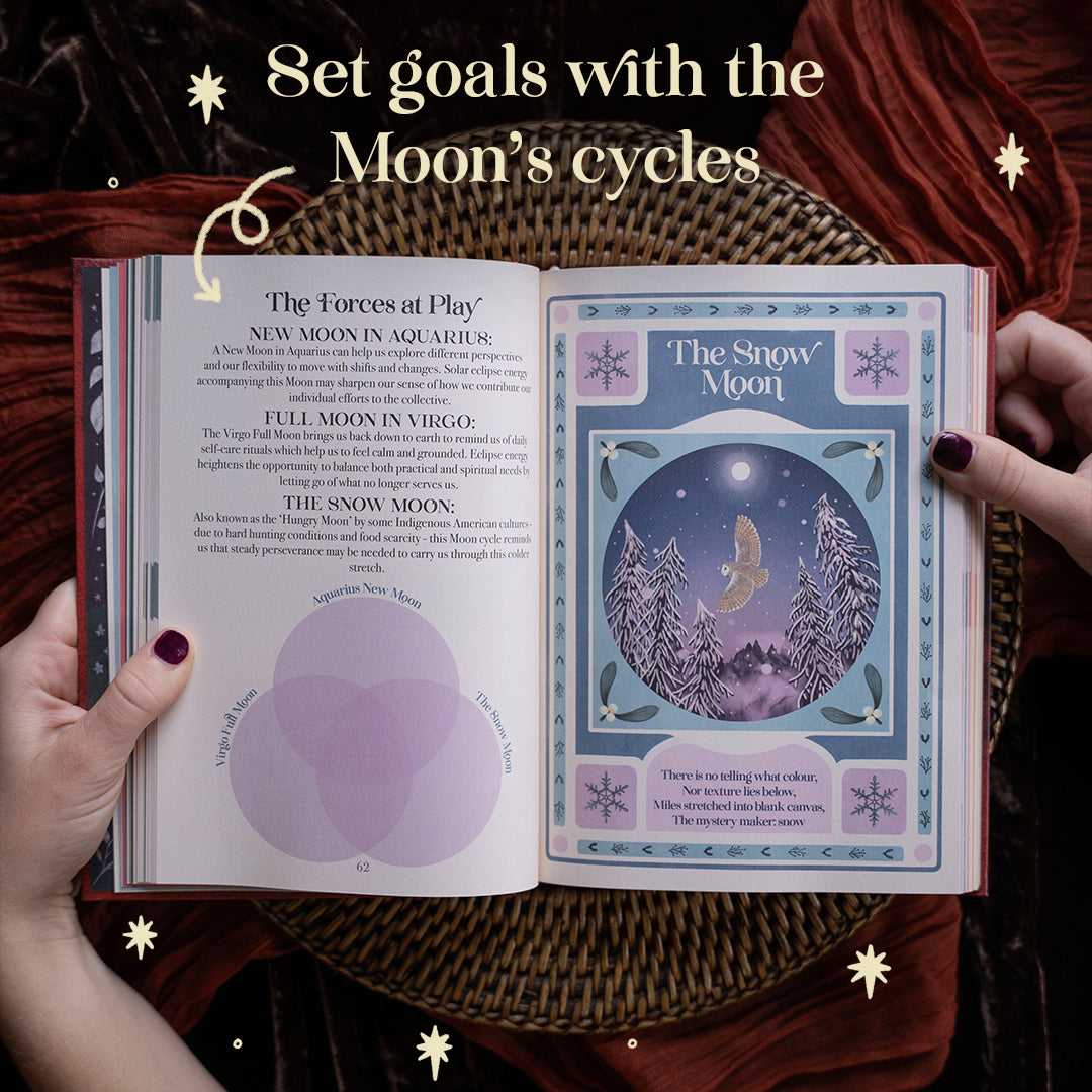 2027 | Complete Moon Collection | 13 Moon Journal
