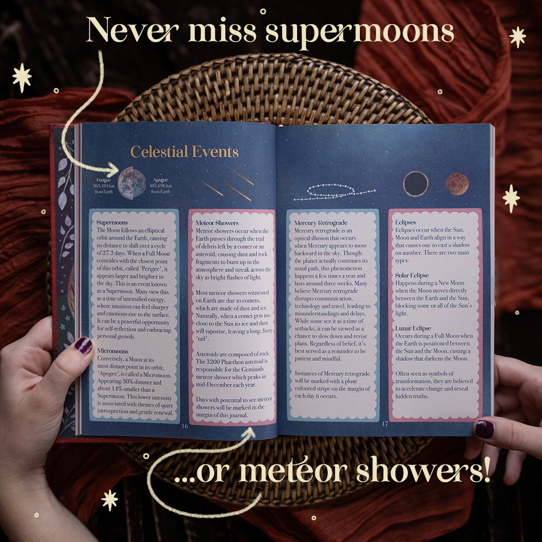 2027 | Complete Moon Collection | 13 Moon Journal