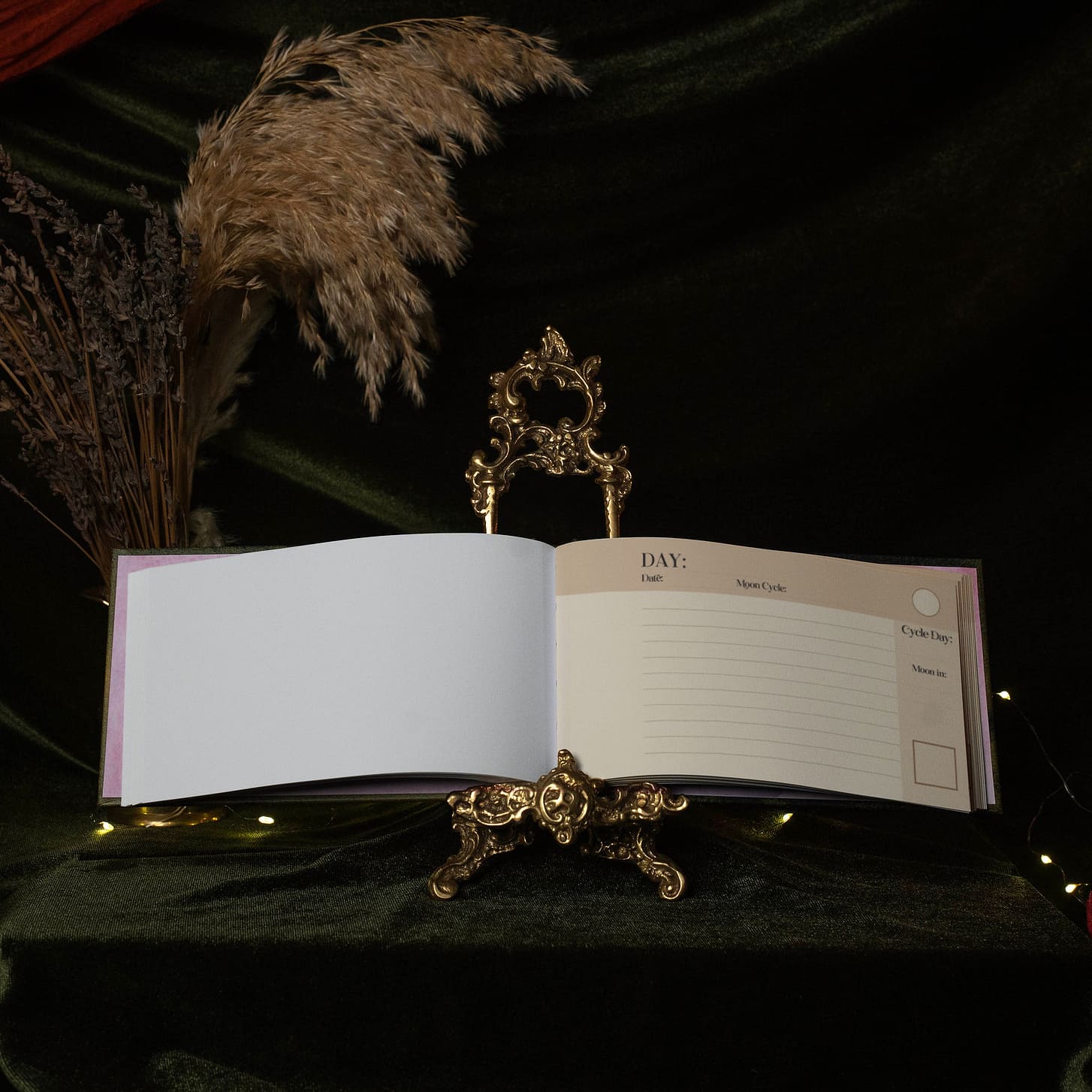 2027 | Complete Moon Collection | 13 Moon Journal